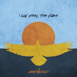 I Can Feel the Vibe EarthChild