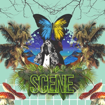 Scene - Single