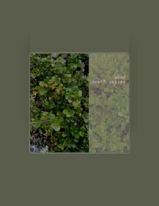 a6m2 सुनें, म्यूज़िक वीडियो देखें, बायो पढ़ें, दौरे की तारीखें और बहुत कुछ देखें!