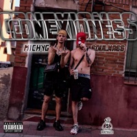 CONEXIONES (feat. MICHY 038) - Single - Soulnass