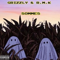 SOMMES (feat. Grizly & RMK) - Single - Or Game