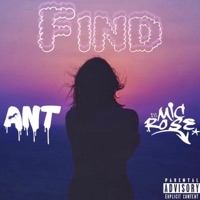 Find (feat. Mic Rose) - Single - Dj @NT