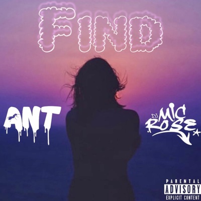Find (feat. Mic Rose) - Single