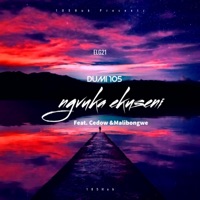 Ngvuke ekuseni (feat. Cedow & Malibongwe) - Single - Dumi 105