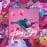 Không Bằng (Remix) - Single - Đỗ Lê Hồng Nhung