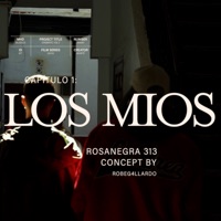 Los Mios - Single - ROSANEGRA 313