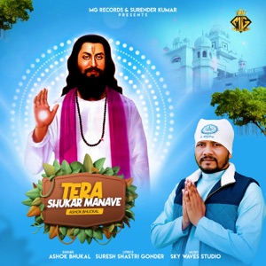 Tera Shukar Manave