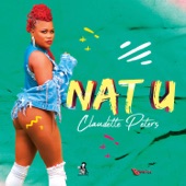 Nat U artwork