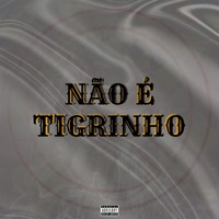 Não É Tigrinho (feat. Dj Tavinho) - Single - Mc Juliano Sp & Mc neguinho jr