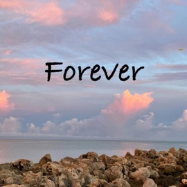 Forever SunsetJudo
