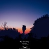 My Destiny - Single