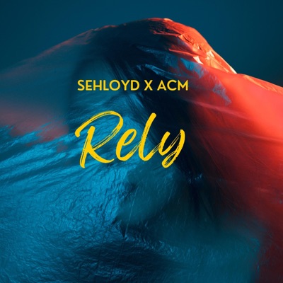 RELY (feat. ACM) - Single