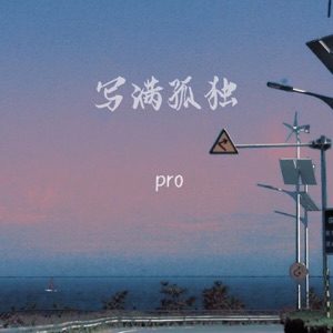 写满孤独 - Single