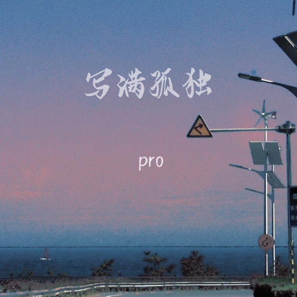 写满孤独 - Single