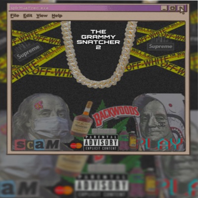 THE GRAMMY SNATCHER 2