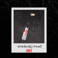 Správnej point - Single - ANDREWSON
