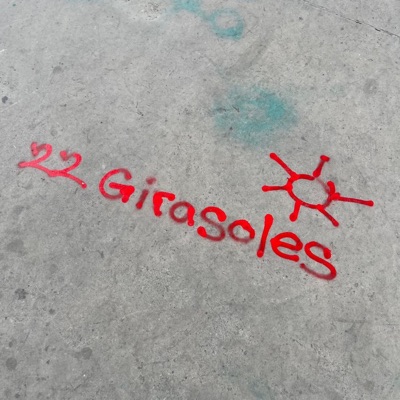22 Girasoles - Single