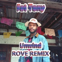 Unwind (Remix) [Remix] - Single - Fat Tony & Rove