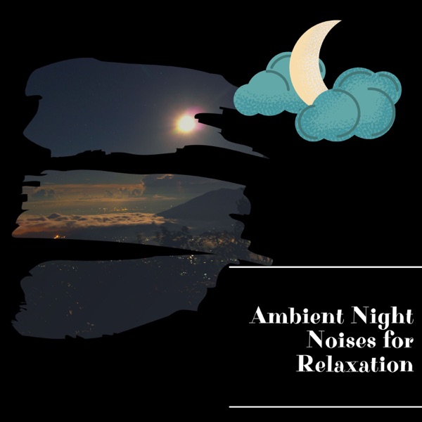 Ambient Night Noises for Relaxation
