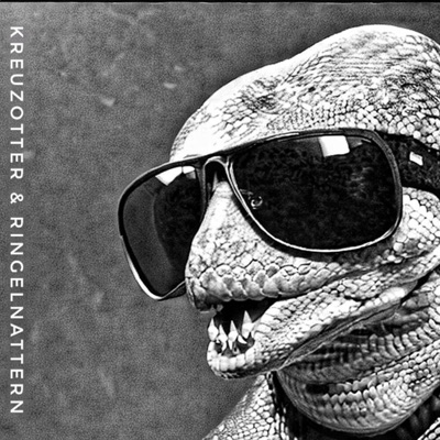 Kreuzotter & Ringelnattern (feat. Reka & puni.) - Single