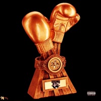 Pro Puncher - K1ngkobie