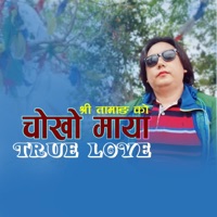 Chokho Maya (feat. Shree Tamang) - Single - Golche Sanchar Pvt. Ltd.