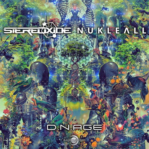 D.N.Age - Single by Nukleall, Stereoxide