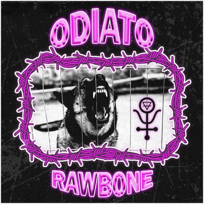 Rawbone - Single