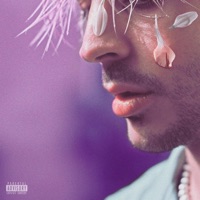 Confuzed - Single - Will Decaff