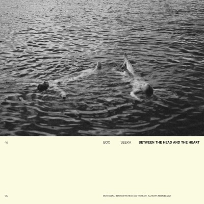 Between the Head & the Heart