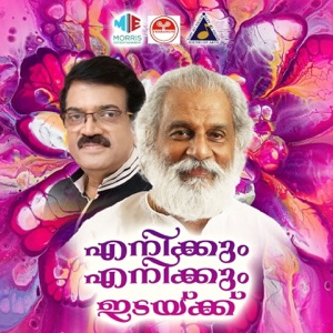 Enikkum Enikkum Idakku (Original Motion Picture Soundtrack) - EP