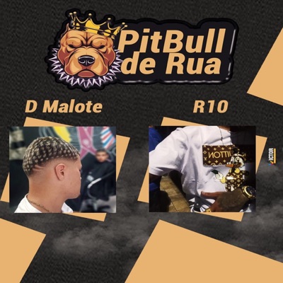 Pitbull de Rua (feat. R10) - Single