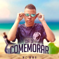 Dia de Comemorar - Single - MC WMR & Dj Magrelo