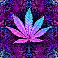 Rollin (feat. Breezi Streetmuzik) - Single - EastSide Tone