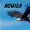 AGUILA - PELUCHE ON THE TRACK lyrics