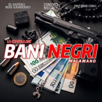 BANI NEGRI (feat. LACAPSULAREC) - Single - Malamano