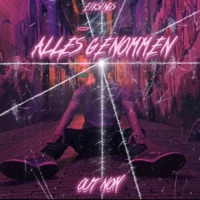 Alles Genommen - Single - eiksings