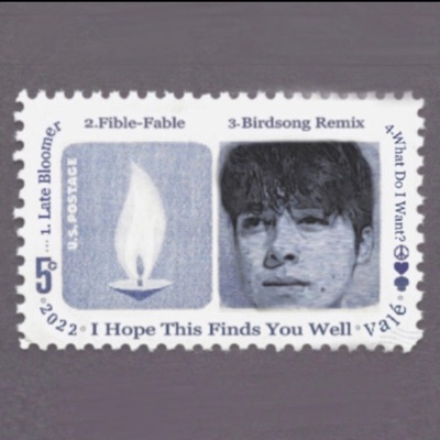 I Hope This Finds You Well... - EP