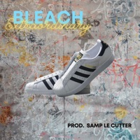 Extraordinary (feat. Samp Le Cutter) - Single - Bleach
