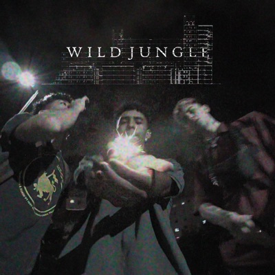 Wild Jungle (Noide) (feat. Mueka & Lenz) - Single
