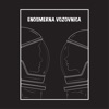 Enosmerna Vozovnica - Single