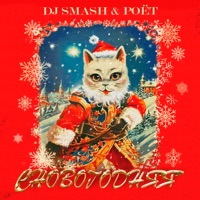 СНОВОГОДНЯЯ - Single - DJ Smash & Poёt