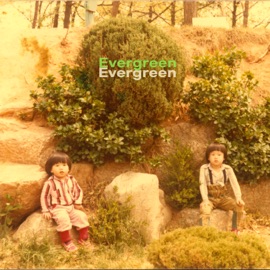 Evergreen E Z Hyoung