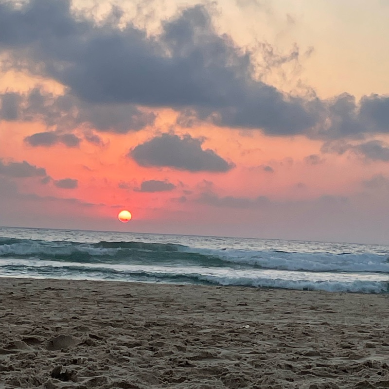 Voxxerd - Bigg Shark