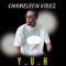 Y.U.H (feat. Lil Triumph) - Chameleon Vibes lyrics