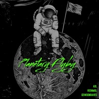 Planetary Flyby - EP - AXL, VEENMOL & GEWOONRAVES