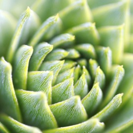 Escape (feat. Vizcor) CATVLYST