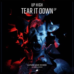 Tear It Down - Single
