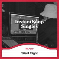Silent Flight (feat. Mr.Foxy) - Single - Instant Soup