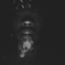 Drn - kardo lyrics